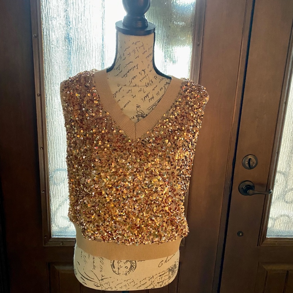 Umgee Gold Sequined Top